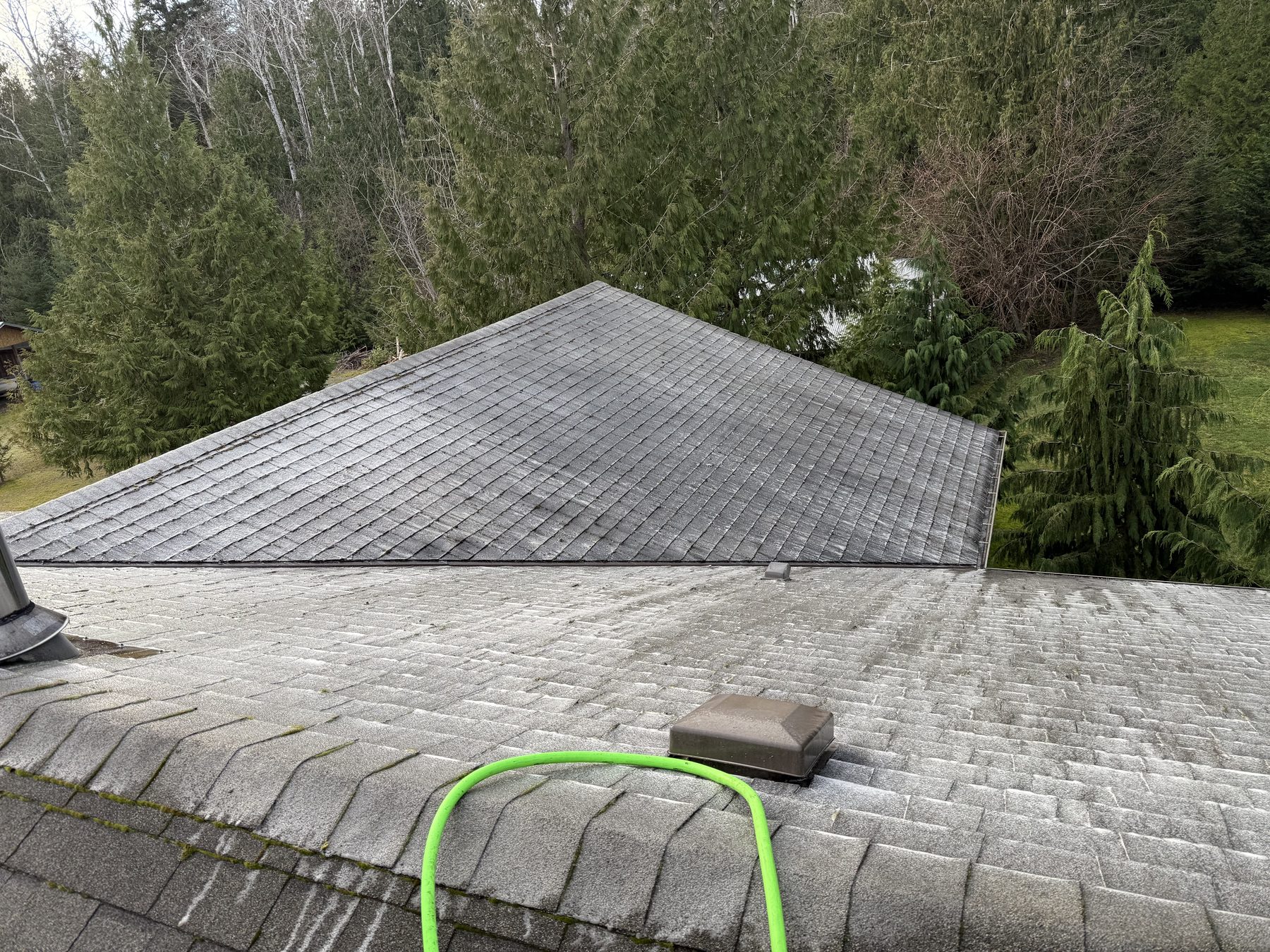 On the roof with a hose, washing moss off the shingles