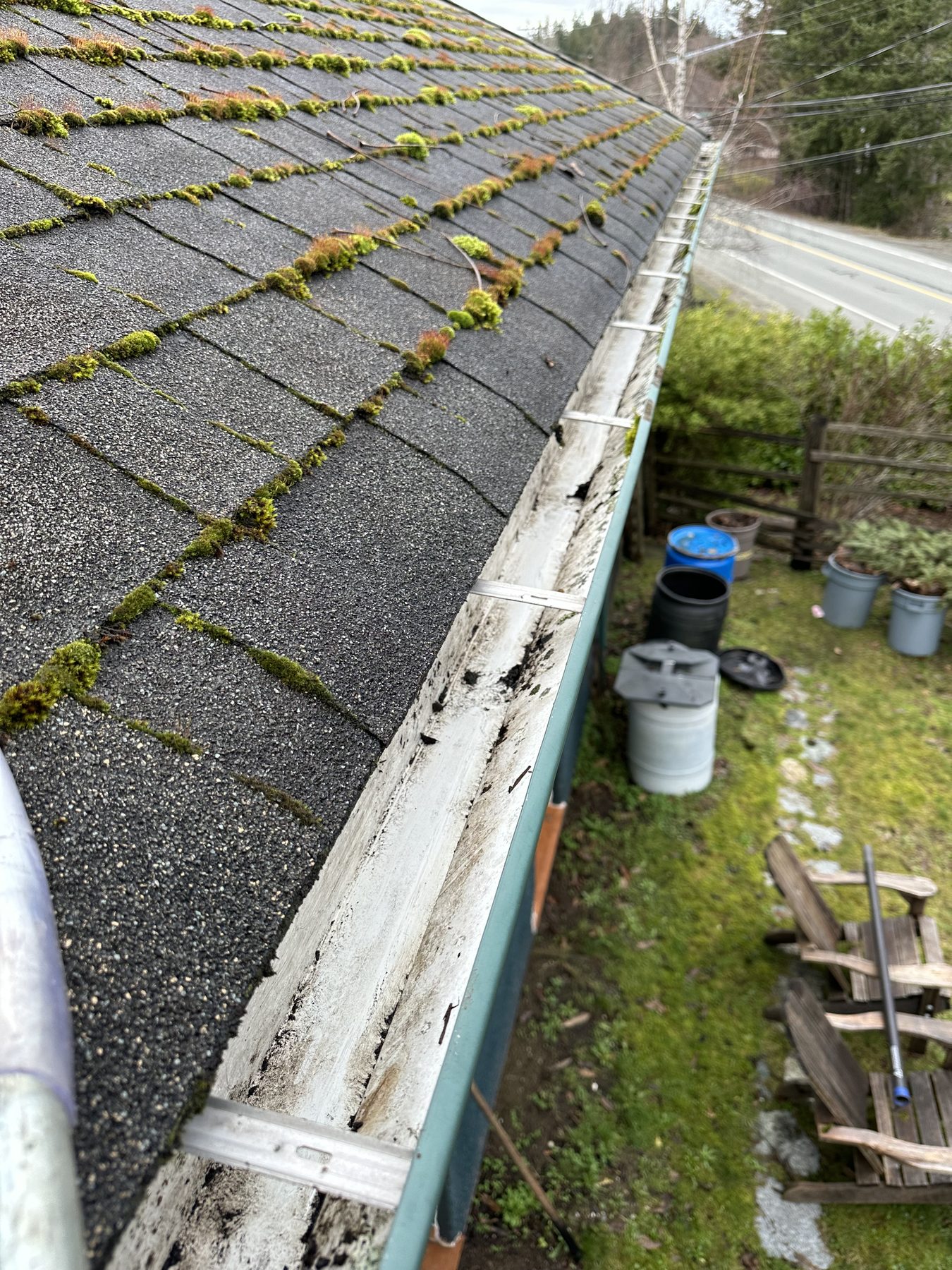Coastal house in the trees needing moss work