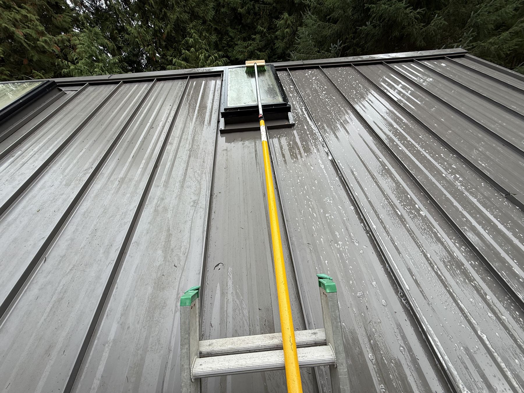 Soft-washing a metal roof from the ladder