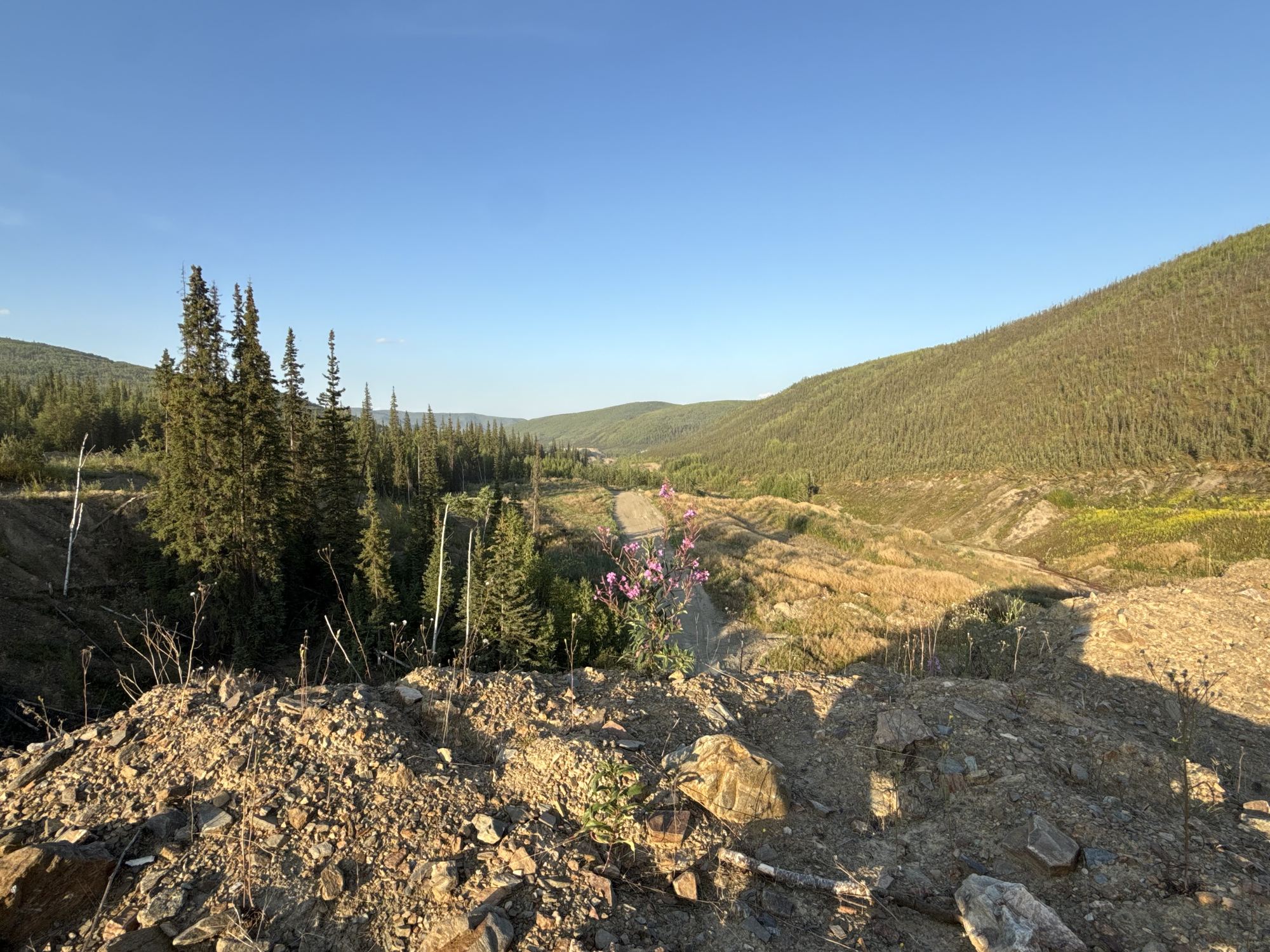 Access road through the hills on a General Miller job